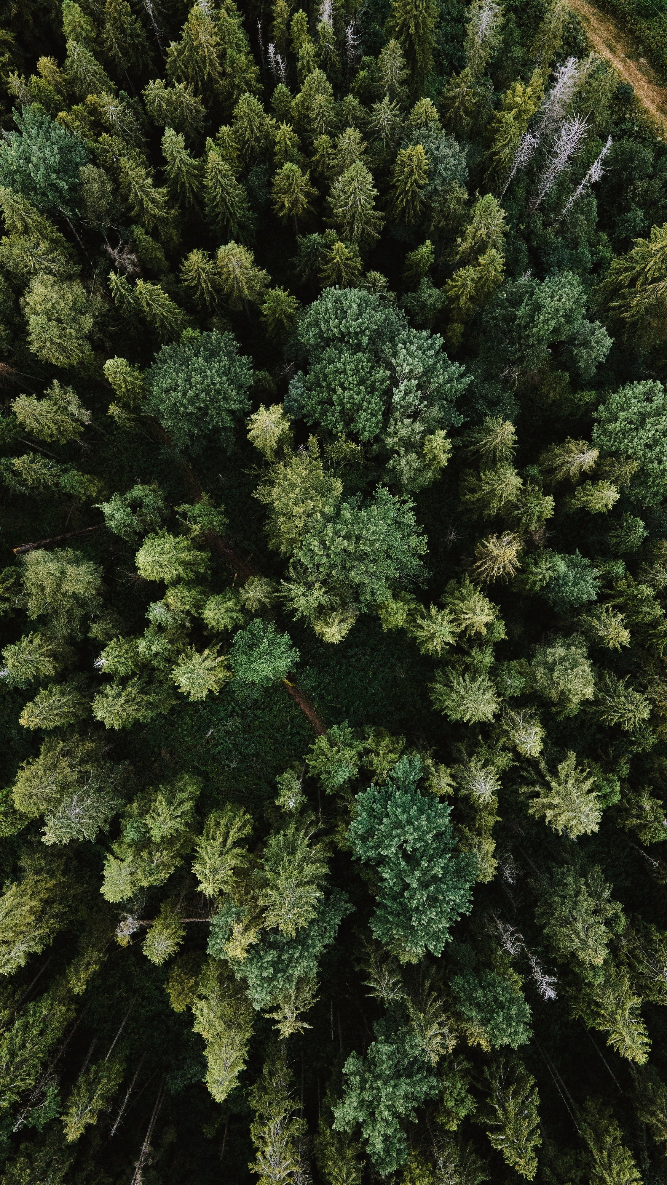 files/olena-sergienko-3BlVILvh9hM-unsplash_3.jpg